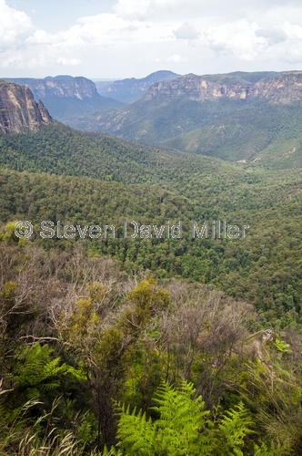 blue mountains;blue mountains national park picture;blue mountains national park;katoomba;katoomba lookout;steven david miller;natural wanders